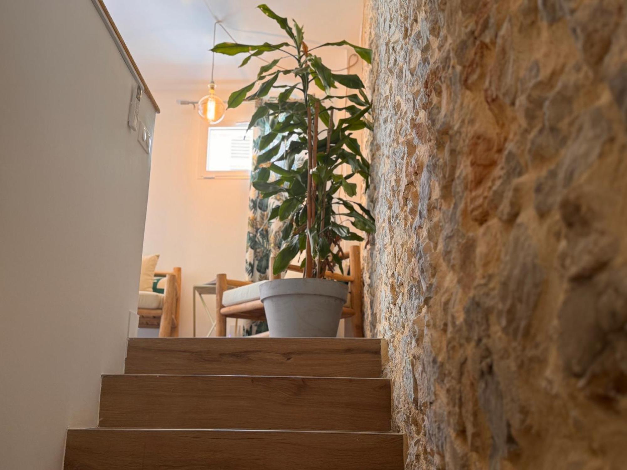 Apartment Cb - Jungle Cannes